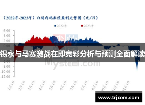 锡永与马赛激战在即竞彩分析与预测全面解读